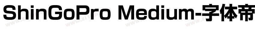 ShinGoPro Medium字体转换